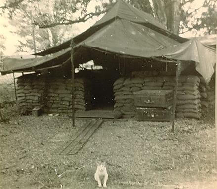 This is my tent at Nui Dat in 1969.  The cat belongs to the SGT cook, SGT Heinze Zinke.